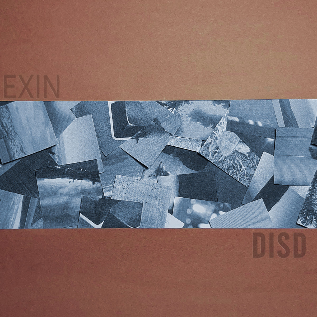 Disd - EXIN